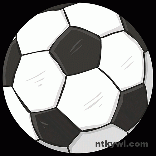 nimg-62
