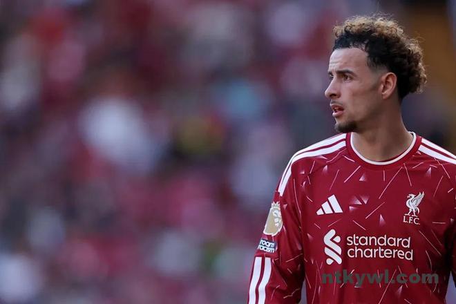 nimg-6